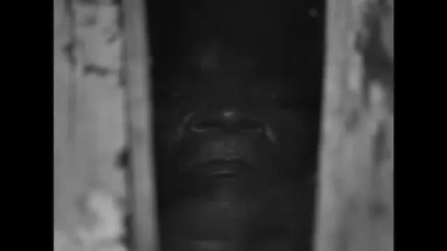 From Rotterdam to Maputo: "O Profeta" Sets Rare Mozambique Theatrical Release