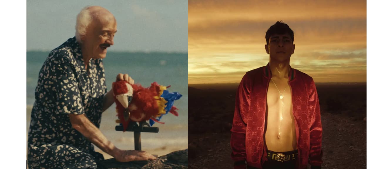 ‘On The Road’ And ‘The Old Man And The Parrot’ Among Top Winners At Miami Film Festival