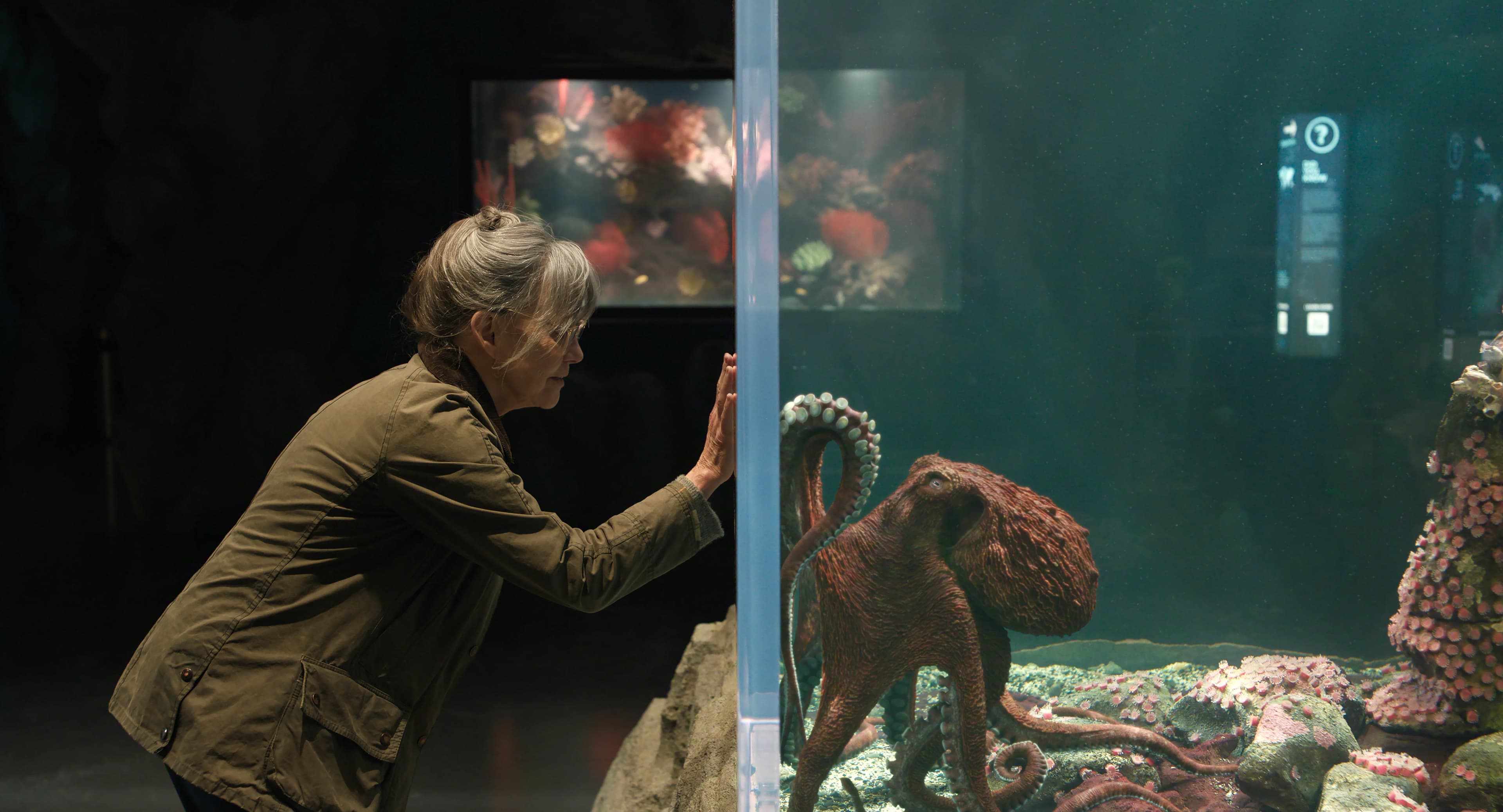 How ‘Remarkably Bright Creatures’ Director Olivia Newman Established CGI “Protagonist” Octopus Narrator And Met Request Of “More Marcellus” Upon Delivering Film’s First Cut