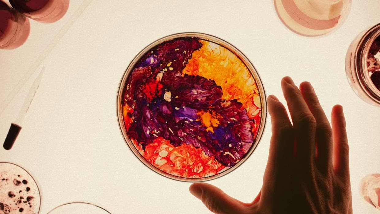 “A Trippy, Psychedelic Musical Odyssey”: Josef Gatti on Phenomena