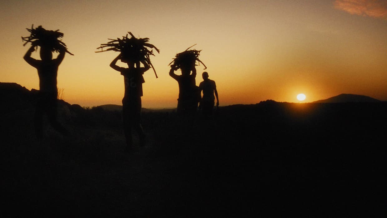 Eight Feature Recommendations from ND/NF 2026, From an IFFR Winner to Charli XCX’s Indie Debut