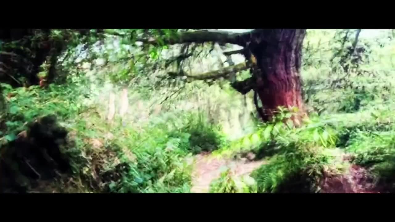 'Yurugu - Invisible Lines' Trailer: Petna Ndaliko Katondolo and Laure Honoré's Documentary