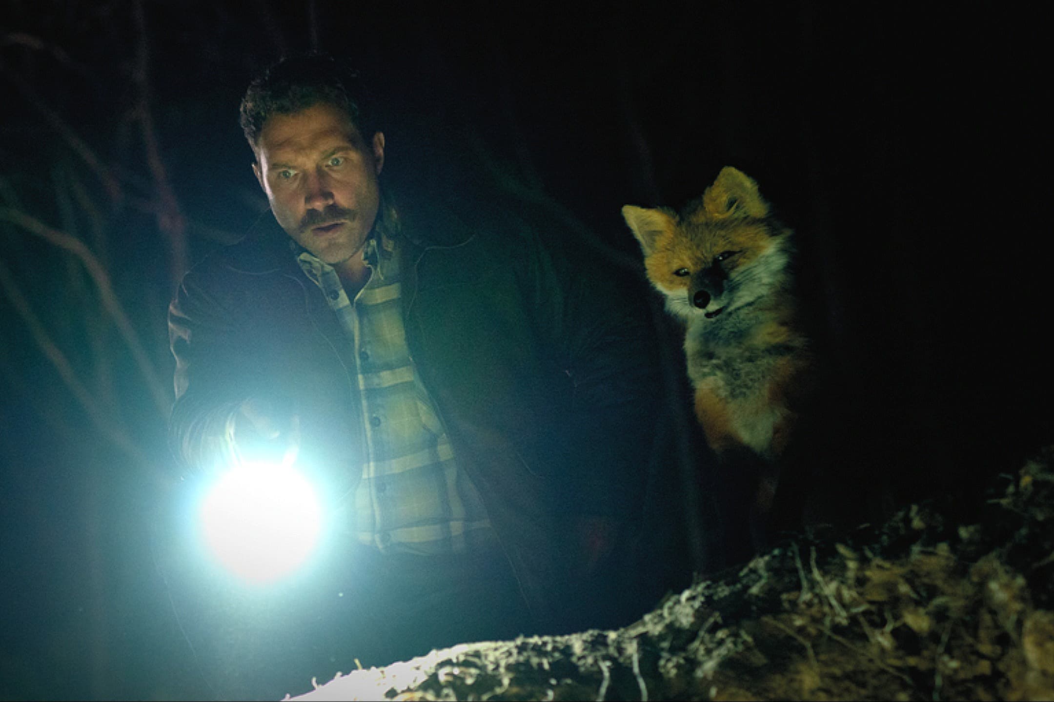 SXSW 2026: The 8 Best Things We Watched in Austin, From a Semi-Suicidal Charlie Day to a Talking Fox Played by Olivia Colman